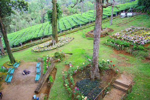 Oak Field Resort Munnar Luaran gambar