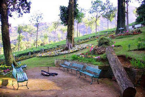 Oak Field Resort Munnar Luaran gambar