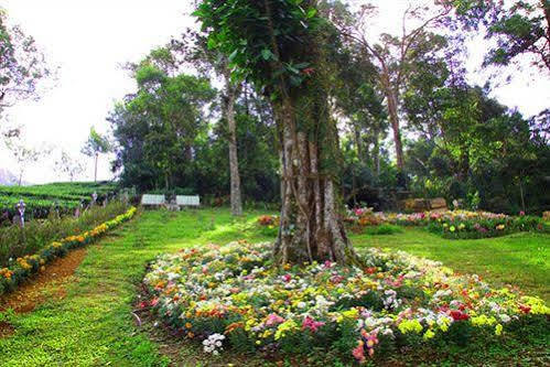 Oak Field Resort Munnar Luaran gambar